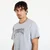 Majice Thrasher One-liner T-Shirt Spory Grey S