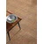 Conceptum Hypnose Tepih Lilette 6721, Pravougaoni, 100 x 300 cm, Braon