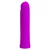 MINI VIBRATOR Pretty Love Curtis Purple