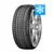 Sava Zimska guma 225/50R17 Eskimo HP2 98V