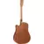 Tanglewood TW10 Winterleaf elektro-akustična gitara