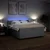 Vidaxl Box spring postelja z vzmetnico svetlo siva 200x200 cm blago