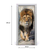 tulup.si Nalepka na vratih Lion 85x205 cm