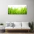 tulup.si Slika na platnu Grass nature rastlin 100x50 cm