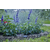 GARDENA senzor vlažnosti tla GA 01867-20
