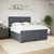 Vidaxl Box spring postelja z vzmetnico temno siva 180x200 cm žamet
