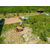 Villager Villy 400 WD bencinski prekucnik