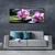 tulup.si Slika na platnu Orchid zen spa stones 120x60 cm
