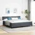 Vidaxl LED Box Spring Postelja z LED Temno siva 200 x 200 cm Žamet