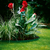 Gardena Ograda za Travnjak 20cmx9met GA00540-20