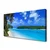 tulup.si Slika na platnu Palm beach sea 100x50 cm