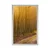 Plakat steza v gozd - 60x90 no frame