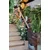 Zelena stena green wall 40x60 cm - 50 do 75 cm