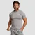 GymBeam Muška majica Fitted TRN Grey