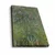 Multikolorna Dekorativna Platna Slika 4570MONET027