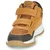 BEPPI  2202041-CAMEL  Kostanjeva