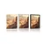 Plakat skalnato mesto - 60x90 no frame