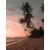 Venture Design Poster Summer 30x40 cm roza