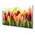 tulup.si Slika na steklu Tulipani rože narava 100x50 cm 4 obešalnika