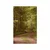 Plakat zeleni gozd - 40x60 black