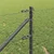 Zavareno žičano ograđivanje s bodljama 100 x 0,6 m (Š x V)