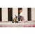 KINDERKRAFT KINDERKRAFT TRICIKL AVEO 2U1 LIGHT GREY