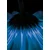 Fototapeta modra gerbera - 196x270