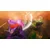 Fire Emblem Warriors: Three Hopes (Nintendo Switch)