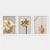 Wallity Set uramljenih slika 3BC_2563318, 3 Dela