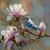 Tiskana slika na platnu 32x32 cm Bluejay & Blossom – Styler