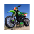 Losi Moto-MX 1:4 RTR Pro Circuit