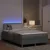 LED Box Spring Postelja Svetlo siva 120 x 200 cm blago