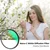 K&F 82MM C Serie White Mist Filter Cinematic Effect Filter with 18 Multi-Layer Coatings