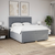 vidaXL Box spring postelja z vzmetnico svetlo siva 200x200 cm blago