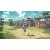 Nintendo Pokemon Legends Arceus igra (Switch)