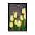 Plakat rumeni tulipani na lesenem ozadju - 20x30 no frame