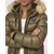 Geographical Norway BUGS Kaki