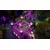 Nintendo Minecraft Dungeons Ultimate Edition igra (Switch)