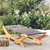 Vidaxl Zunanja postelja 100x188,5x44 cm trden les antracit