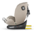 Coccolle avtosedež Nova 2022 Isofix iSize (0-36kg), Sand beige