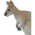Safari Valabia