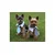 Merco Multipack 3pcs Gentledog kravata za pse modra, S