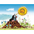 Lesene licenčne kocke Year of the Mole - 12 kock