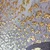Slika Wallity OPG1972733537, 140x140 cm