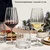Schott Zwiesel Refract kozarec za vino, prostornina 0,497 l (6 kos)