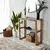 Hanah Home Komoda Via, 85x85x31 cm, Boje oraha