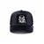 Goorin Bros trucker kapa velur Wise Ass