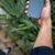 Spacecase SILIKONSKI OVITEK SPACECASE ZA IPHONE 7 8 PLUS MODER, (21963734)