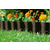 Gardena vrtna obroba, 9 cmx9 m, rjava (530)