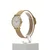 Skagen Signature Slim SKW2693